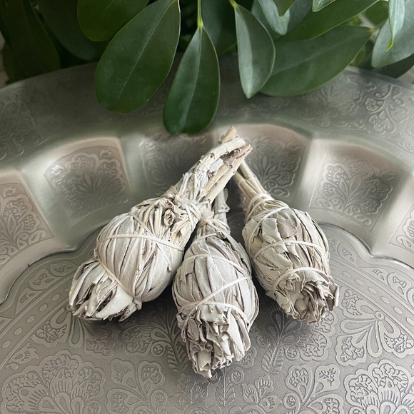 Sage (3 pieces) - Picture 1 of 2